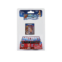 Worlds Smallest Masters of the Universe Mini Teela Action Figure image