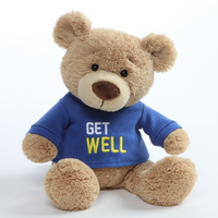 GUND Message Bear Get Well Plush Toy Blue 32cm image