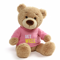 GUND Message Bear Get Well Plush Toy Pink 32cm image