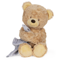GUND Baby Sweet Sounds Lullaby Bear Plush Toy 30cm image