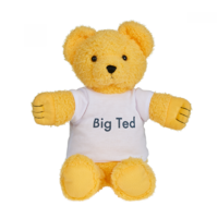 Play School Big Ted Plush Toy 30cm image