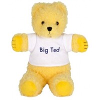 Play School Big Ted Beanie Plush Toy 18cm image