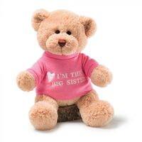 GUND Big Sister Bear Plush Toy 30cm Pink image