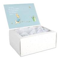 Beatrix Potter Peter Rabbit Gift Box 23cm image