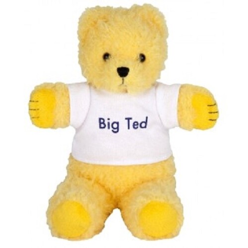 Play School Big Ted Beanie Plush Toy 18cm