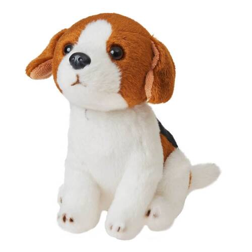 Cuddlimals Dog Harper Beagle Seated Plush Toy 15cm | True Blue Toys  Australia